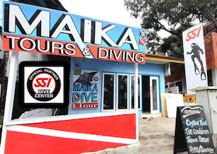Komodo Island Diving dive shop