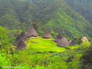 We stopped in Wae Rebo Village at the end of our Komodo Tour Package