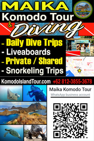 Komodo Island Tour information