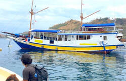 diving Boat for sale in Labuan Baja and Komodo